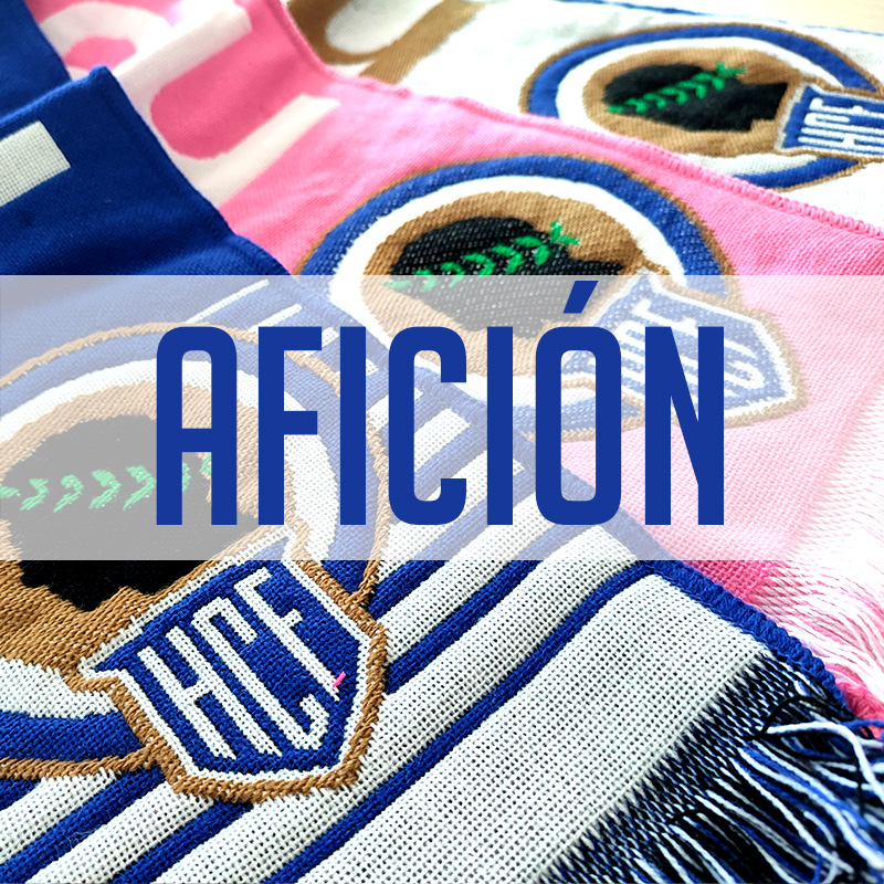 Afición